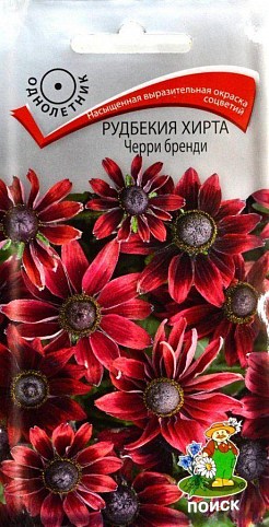 Рудбекия Хирта "Черрі бренді" ТМ "Пошук" 0.1г