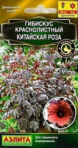 Гібіскус краснолістний "Китайська троянда" ТМ "Аеліта" 5шт