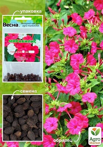 Мирабилис (Зипер) ТМ "Весна" 1.5г