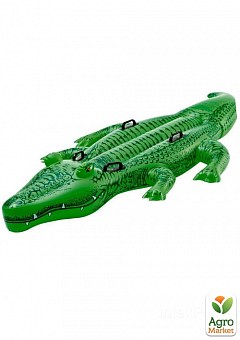 Дитячий надувний плотик для катання "Крокодил" 203х114 см ТМ "Intex" (58562)1