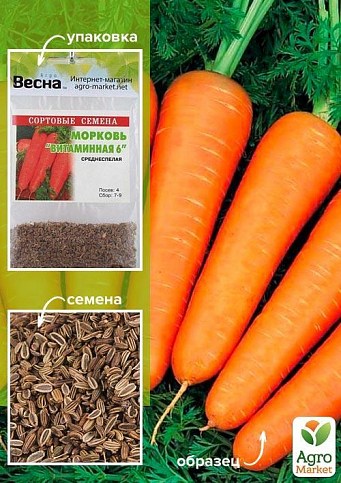 Морковь "Витаминная-6" (Зипер) ТМ "Весна" 5г