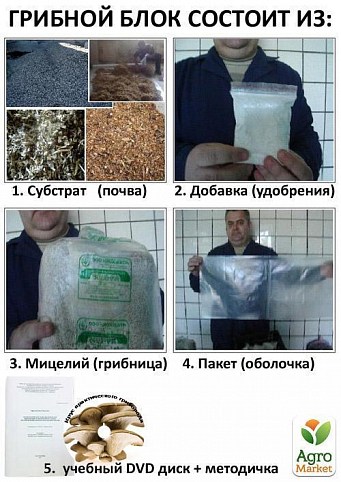Комплект начинающего грибовода (Вешенка)  + учебный DVD диск + методичка