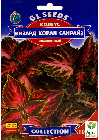 Колеус "Визард Корал Санрайз" ТМ "GL Seeds" 10шт