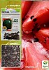 Арбуз "Орфей" (Зипер) ТМ "Весна" 4г