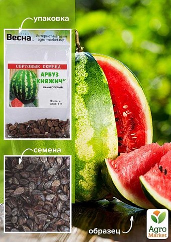 Арбуз "Княжич" (Зипер) ТМ "Весна" 4г