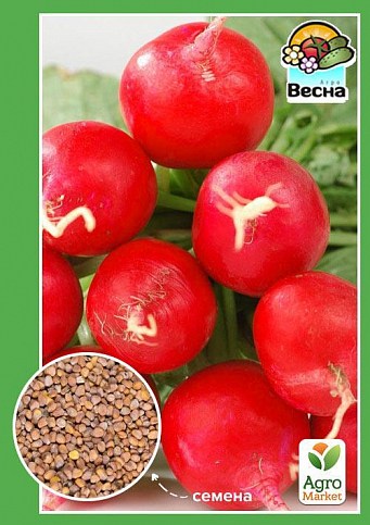 Редис "Ранний красный" ТМ "Весна" 2г