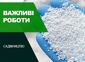 Обприскування дерев сечовиною: плюси і специфіка процесу - корисні статті про садівництво від Agro-Market