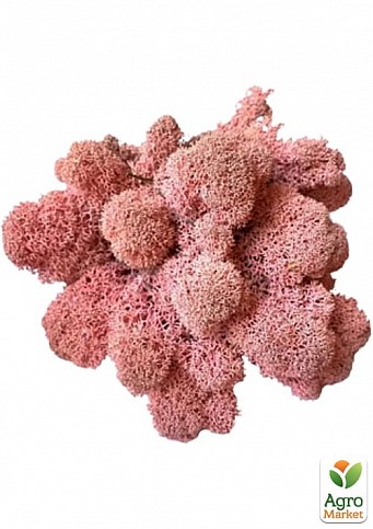 Стабілізований мох Ягель "Рожевий" 500 г 
