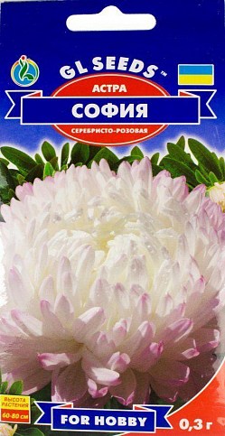 Айстра "Софія" ТМ "GL Seeds" 0.3г