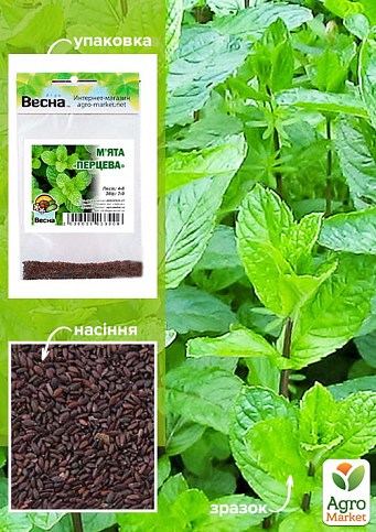 Мята "Перечная" (Зипер) ТМ "Весна" 0.5г