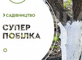 Найкращі суміші для побілки дерев - корисні статті про садівництво від Agro-Market