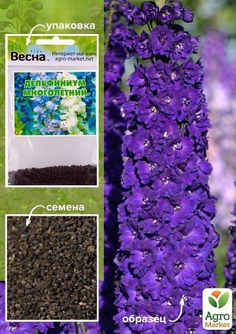 Дельфиниум "Многолетний" (Зипер) ТМ "Весна" 1г