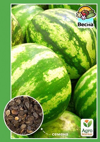 Кавун "Мономах" ТМ "Весна" 1.5г