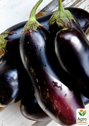 Баклажан "Прем'єр" ТМ "Vesna Select" 20шт - фото 4