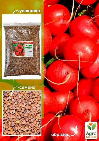 Редис "Кармен" (Польша) ТМ "Весна" 500г
