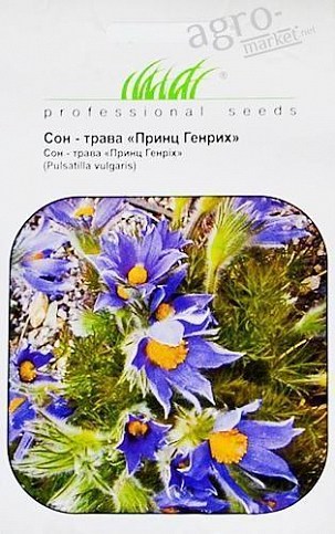 Сон-трава "Принц Генрих" ТМ "Hem Zaden" 0.1г