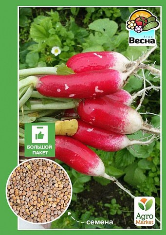 Редис "Богиня" (Великий пакет) ТМ "Весна" 7г