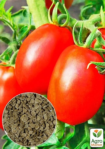 На вагу Томат "Арабат" ТМ "Весна" ціна за 1г