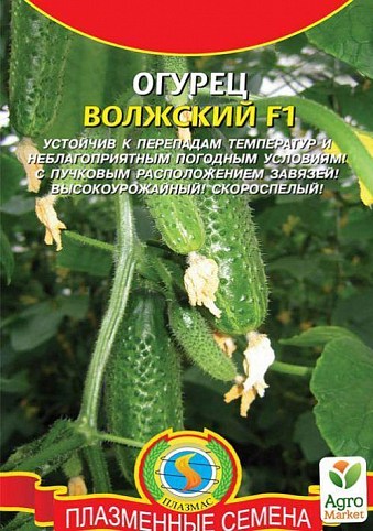 Огурец "Волжский F1" ТМ "Плазменные семена" 7шт