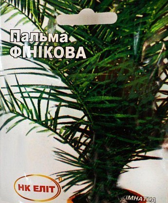 Пальма "Финиковая" ТМ "НК ЭЛИТ" 5шт