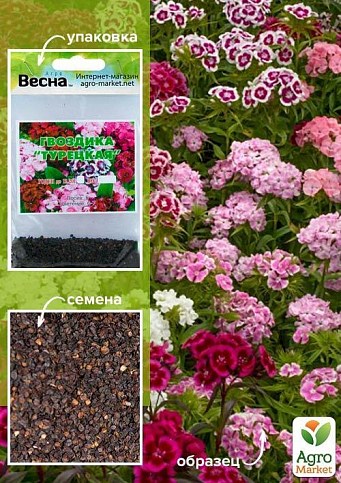Гвоздика "Турецкая" (Зипер) ТМ "Весна" 1г