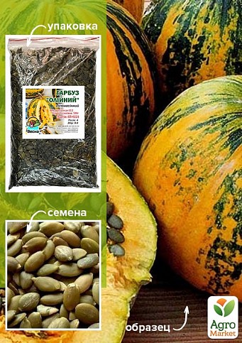 Тыква "Масляная" ТМ "Весна" 500г