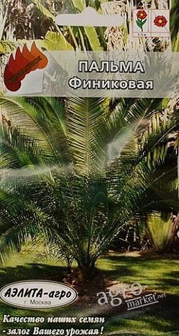 Пальма "Финиковая" ТМ "АЭЛИТА" 2шт