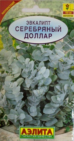 Эвкалипт "Серебряный доллар" ТМ "Аэлита" 5 шт