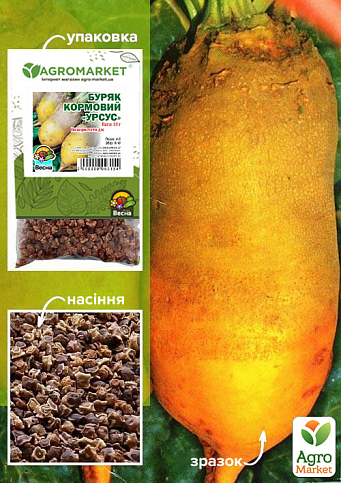 Буряк кормовий "Урсус" (Зипер) ТМ "Весна" 10г
