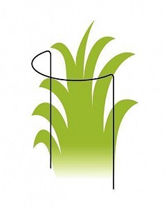 Опора для растений ТМ "ORANGERIE" тип С (зеленый цвет, высота 600 мм, кольцо 260 мм, диаметр проволки 5 мм)1