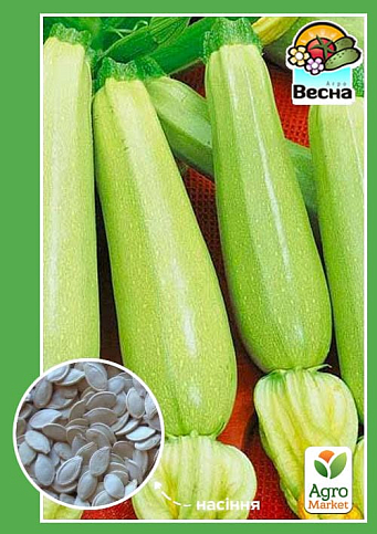 Кабачок "Кущовий" ТМ "Весна" 2г