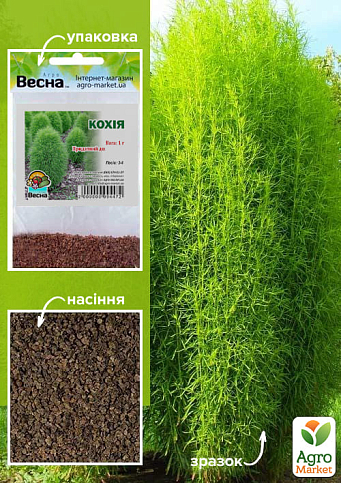 Кохія (Зипер) ТМ "Весна" 1г