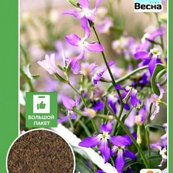 Маттиола "Ночная фиалка" (Большой пакет) ТМ "Весна" 5г купить почтой в ...