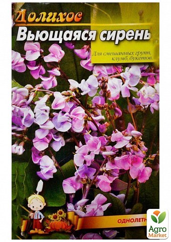 Долихос "Вьющаяся сирень" ТМ "Весна" 5шт - фото 2