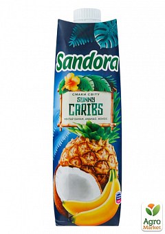 Нектар ананас-кокос-банан ТМ "Sandora" 0,95л2