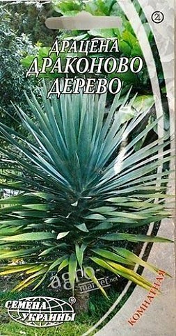 Драцена "Драконово Дерево" ТМ "Семена Украины" 1г(2шт)