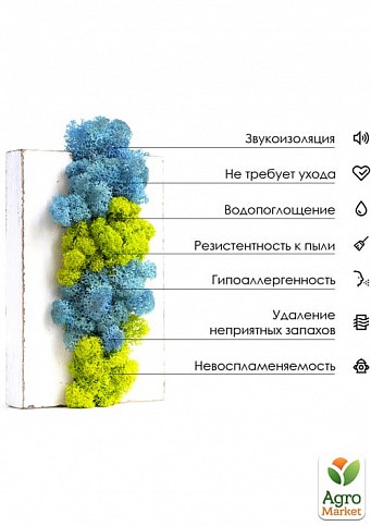 Стабилизированный мох Ягель "Лайм" 150г