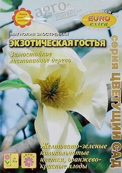 Семена Магнолии Купить Интернет Магазин Семена Магнолии Купить Интернет Магазин