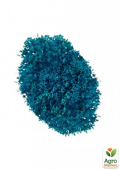 Стабілізований мох Ягель "Блакитний" 500 г1
