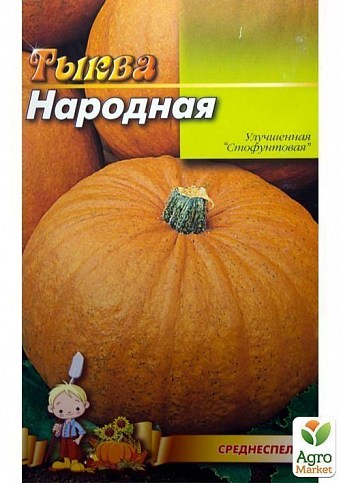 Тыква "Народная" (Большой пакет) ТМ "Весна" 8г - фото 2