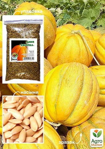 Диня "Ефіопка" ТМ "Весна" 500г