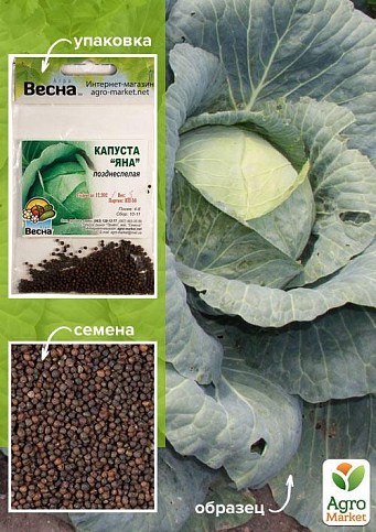 Капуста "Яна" (Зипер) ТМ "Весна" 3г