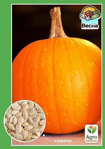 Тыква "Медовая" ТМ "Весна" 2г