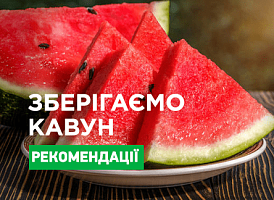 Як зберегти кавун на зиму - корисні статті про садівництво від Agro-Market