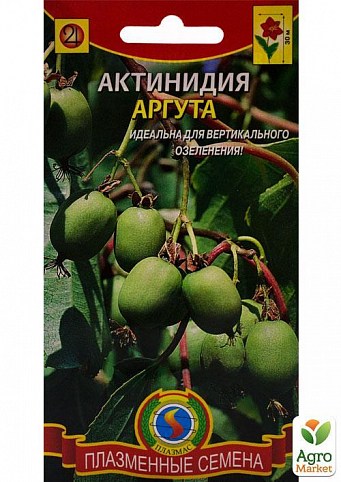 Актинидия "Аргута" ТМ "Плазменные семена"10шт