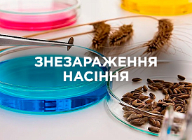 Обробка насіння від хвороб: ефективні методи | Agro-market