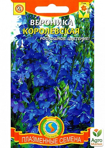 Вероника "Королевская" ТМ "Плазменные семена" 0,1г NEW