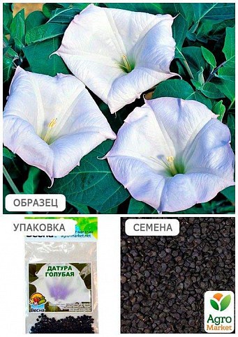 Датура "Голубая" (Зипер) ТМ "Весна" 2г - фото 4