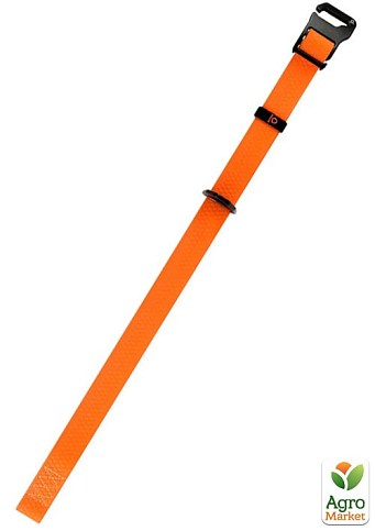 Ошейник EVOLUTOR, регулируемый, универсальный размер (ширина 25мм, длина 25-70 cм) оранжевый (42434) - фото 3