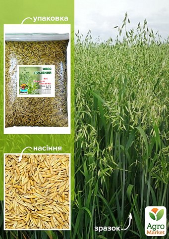 Овес посевной ТМ "Весна" 1кг